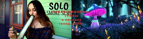 мдпв Елизово