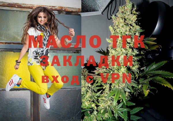 крисы Ельня