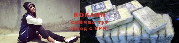 мдпв Елизово