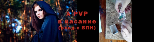стафф Елабуга