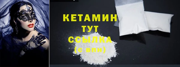 крисы Ельня