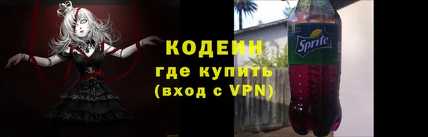 мдпв Елизово