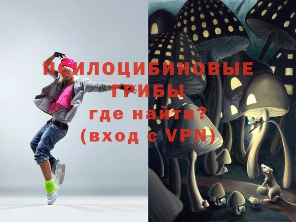 крисы Ельня