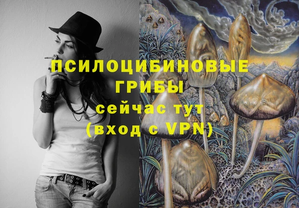 мдпв Елизово