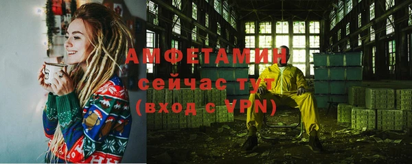 крисы Ельня