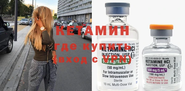 крисы Ельня