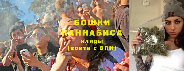 мдпв Елизово