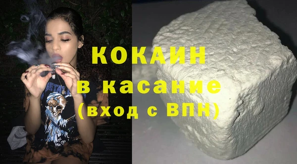 крисы Ельня