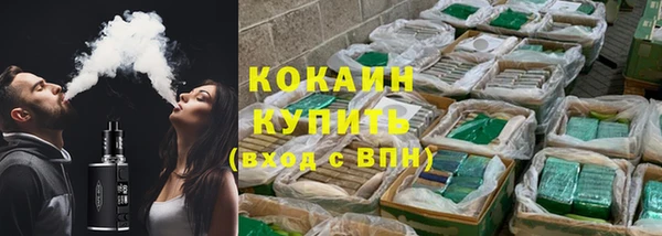 мдпв Елизово