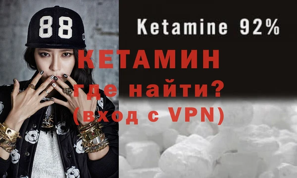 крисы Ельня